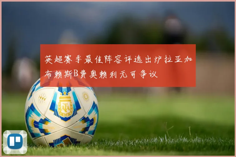 英超赛季最佳阵容评选出炉拉亚加布赖斯B费奥赖利无可争议