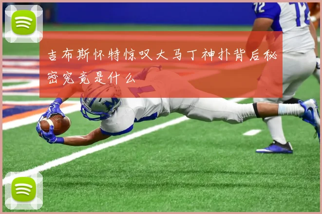 吉布斯怀特惊叹大马丁神扑背后秘密究竟是什么
