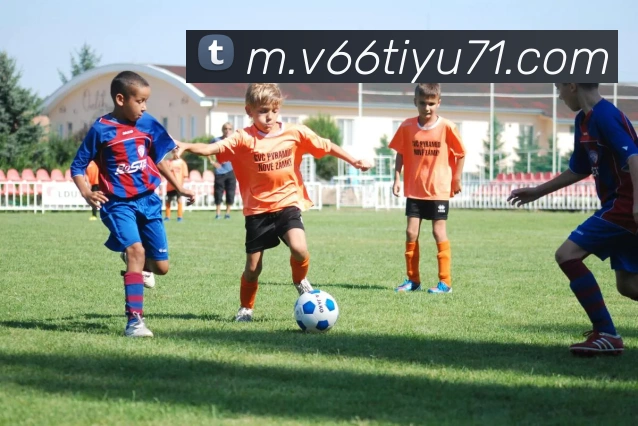 V66体育平台生态图