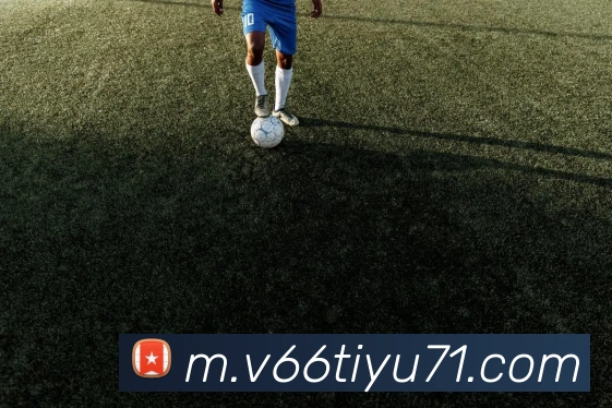 V66体育APP 封面图